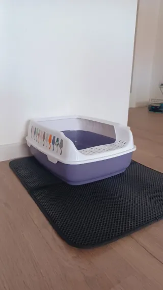 Arenero y alfombra para gato