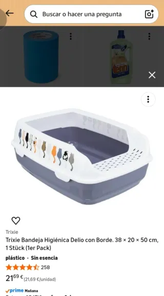 Arenero y alfombra para gato