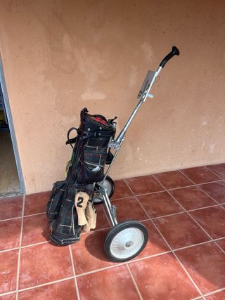 Juego de palos de golf y carrito