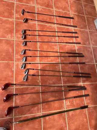 Juego de palos de golf y carrito