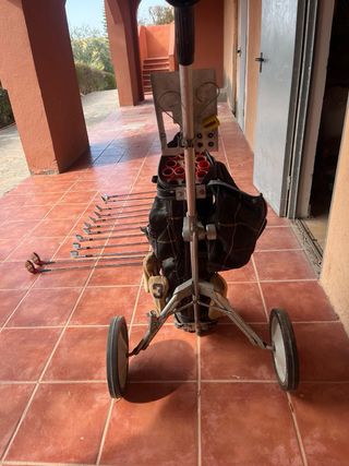 Juego de palos de golf y carrito