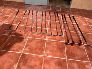 Juego de palos de golf y carrito