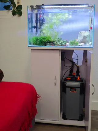 Filtro SEBO SF-1000-F