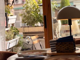 Habitacion junto a la universidad UC3M