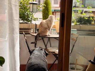 Habitacion junto a la universidad UC3M