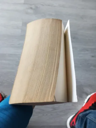 Il codice penale 1999