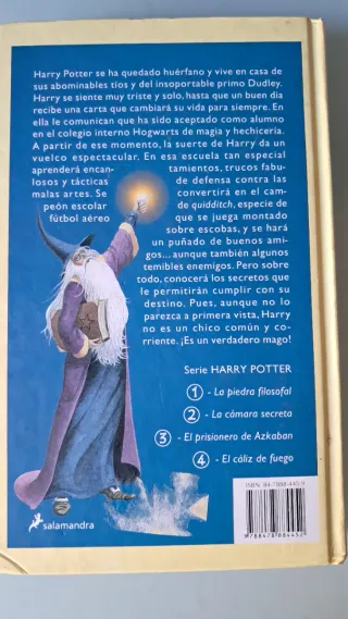 Harry Potter Y La Piedra Filosofal