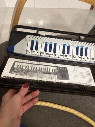 Bontempi Diamonica Mini Keyboard e flauto