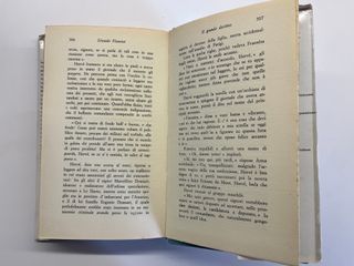 Il grande destino, Zenaide Fleuriot, Capitol