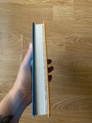 VIAJE EN EL TIEMPO 4 Geronimo Stilton Tapa dura