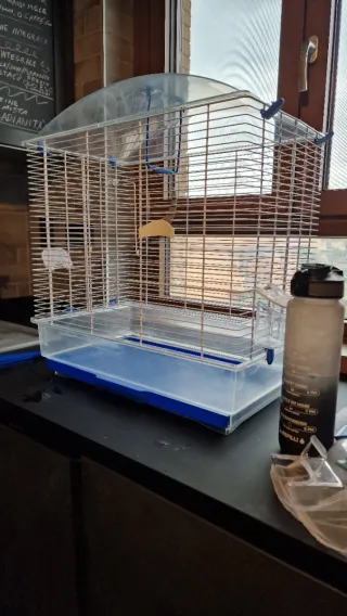 Gabbia per uccelli panoramica full optional