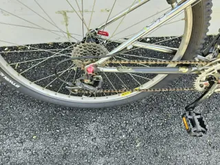 Sunn 5000 Bicicleta de Montaña Cromada