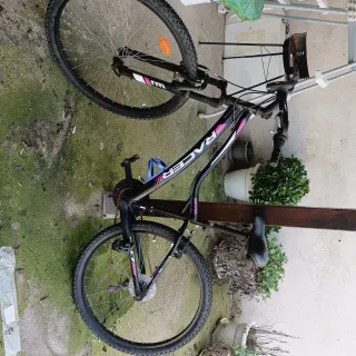 Bicicleta Montaña Adulto Racer 270