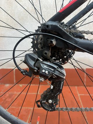 Orbea MX50 29 Bicicleta Montaña