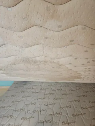 Canape abatible 150 con colchón