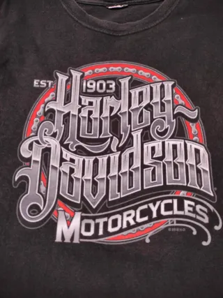 Harley Davidson Camiseta Gráfica Negra Avalanche