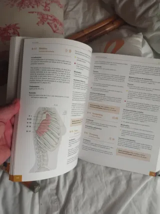 Guía práctica de puntos de acupuntura mtc