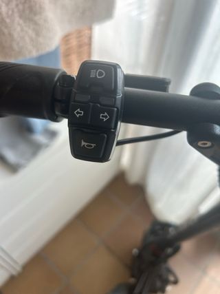 Dualtron Victor Luxury Plus