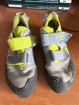 Pies de gato Simond Niño