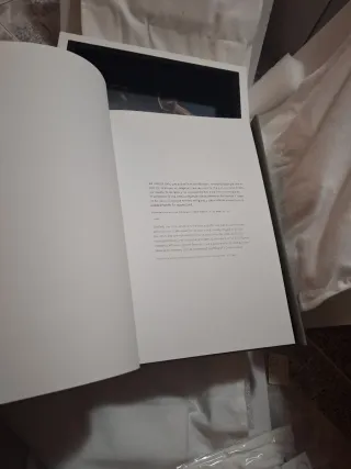 Figura David Miguel Ángel Mármol