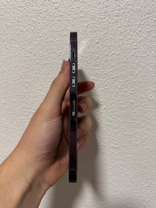 Struttura iPhone 14 Pro Max Viola