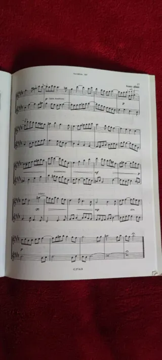 24 duetti per sassofoni