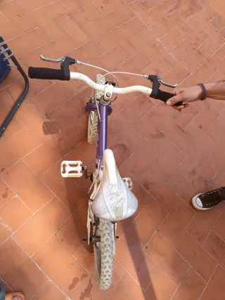 Bicicleta infantil 16 morada