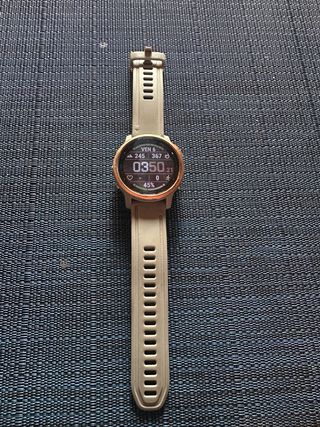Garmin Fenix 6S Pro Oro/Grigio