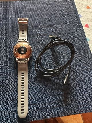 Garmin Fenix 6S Pro Oro/Grigio