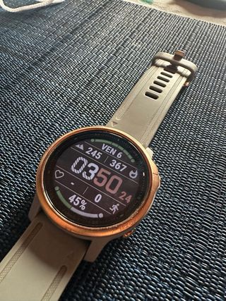Garmin Fenix 6S Pro Oro/Grigio
