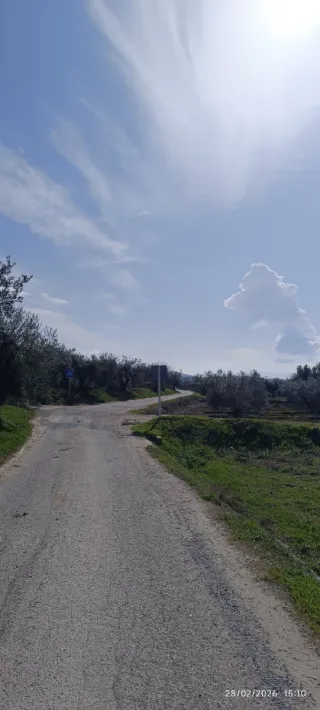 Busco trabajo en el campo