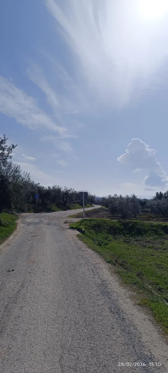 Busco trabajo en el campo