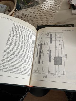 Historia de la musica.colección encuadernada