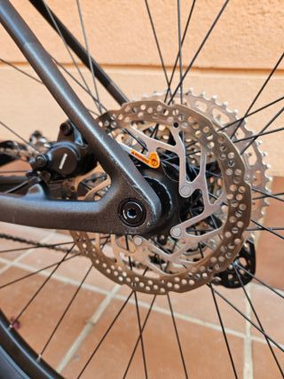 Orbea Alma M50 L Carbono 2024