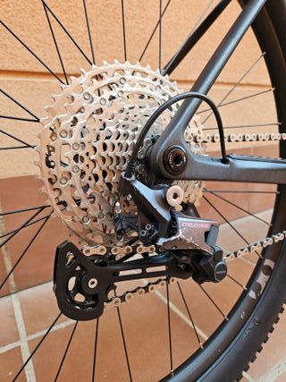 Orbea Alma M50 L Carbono 2024