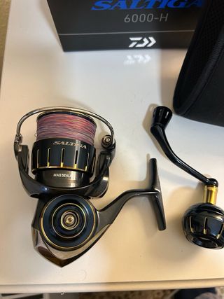 Carrete Daiwa Saltiga 6000H