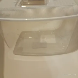 Acquario plastica trasparente Ariel