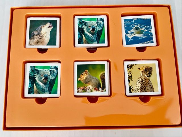Juego de memoria Diset Memo Photo. A partir de 3a