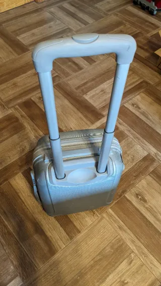 Maleta de viaje plateada