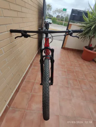 Giant Anthem 29 3 2020 Talla L