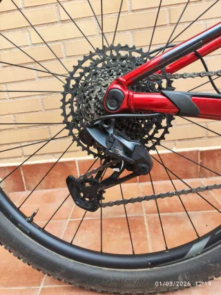 Giant Anthem 29 3 2020 Talla L