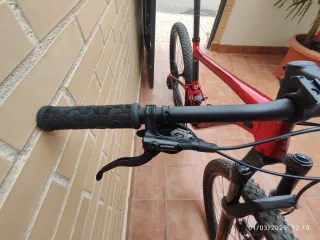 Giant Anthem 29 3 2020 Talla L