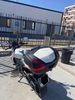 Honda Hornet 600 - Roja y Blanca