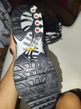 Zapatillas Nike Air Max  TN Negras y Plateadas.