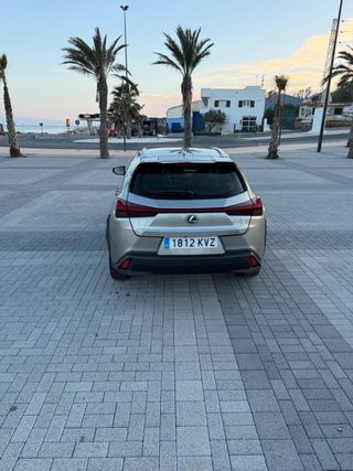 LEXUS UX250H garantia 15 años