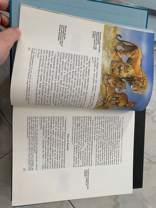 Pack 3 livros jesus no seu tempo