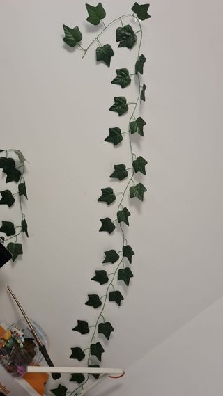 2 plantas decoración