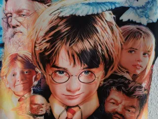 Bañador Harry Potter