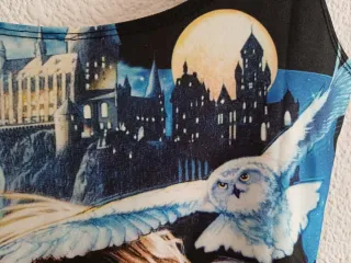 Bañador Harry Potter