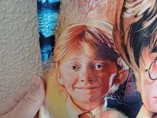 Bañador Harry Potter